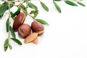 Argan-oil
