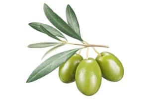Green olives with leaves