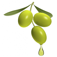 olive squalane