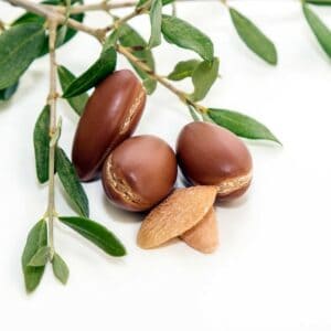 ARGAN SEED OIL ARGAN SEED OIL