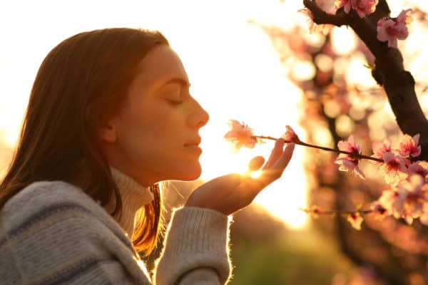 The Power of Subtle Scent