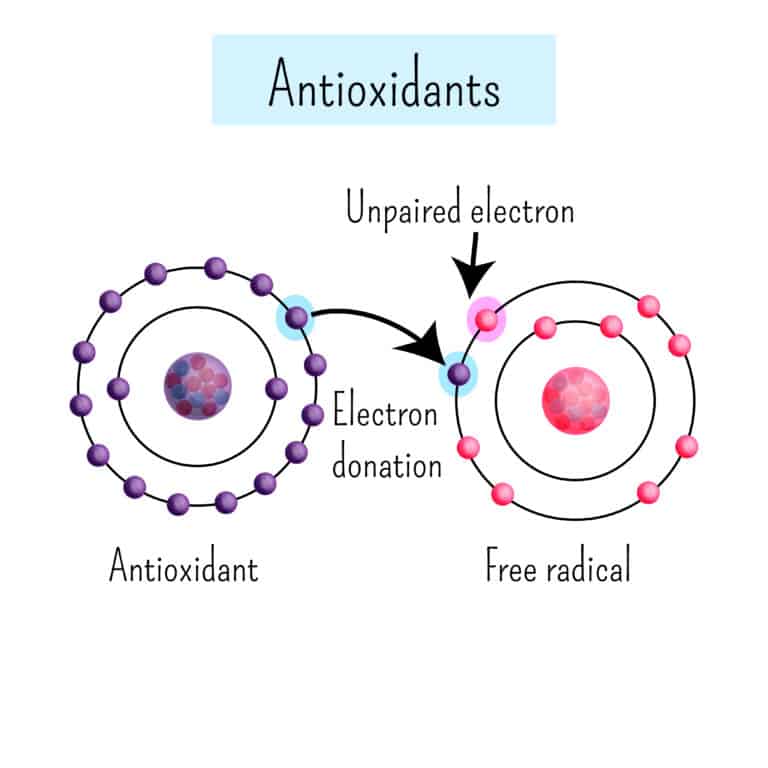 antioxidants