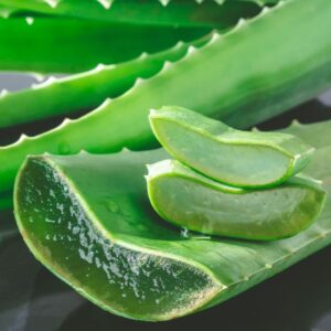 Aloe vera