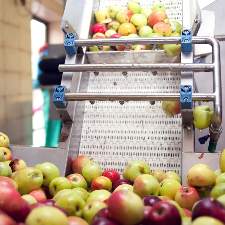 upcycled ingredients sqrs